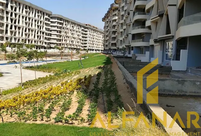 113824842 - Property Image 3