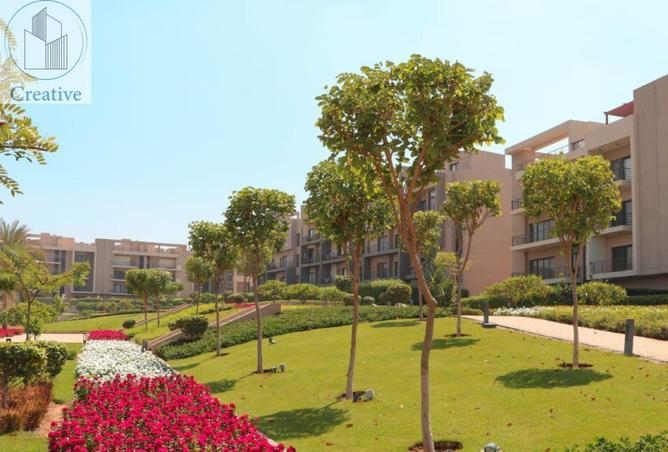 73770324 - صورة العقار 3