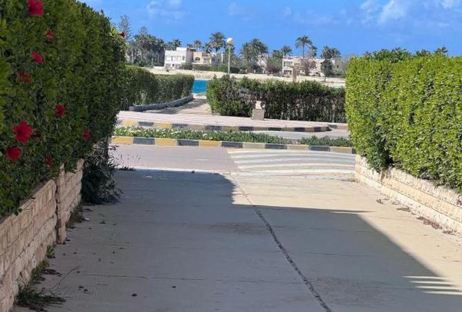 8630968 - Property Image 2