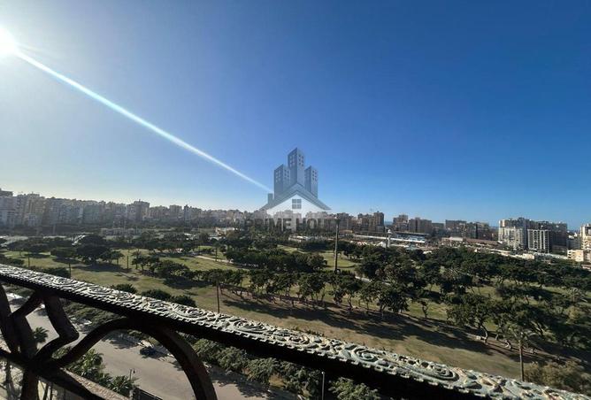 55746174 - Property Image 3