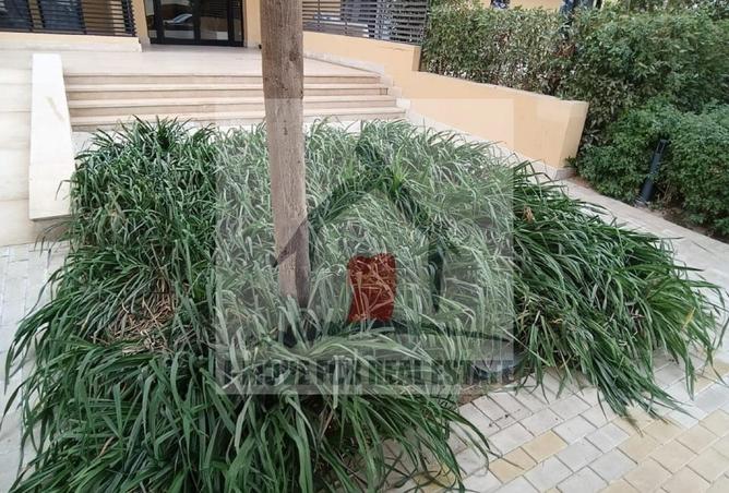 57239107 - Property Image 3