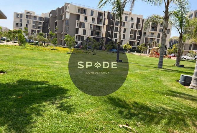 53980973 - صورة العقار 3