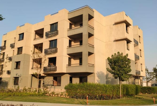 73772795 - صورة العقار 3