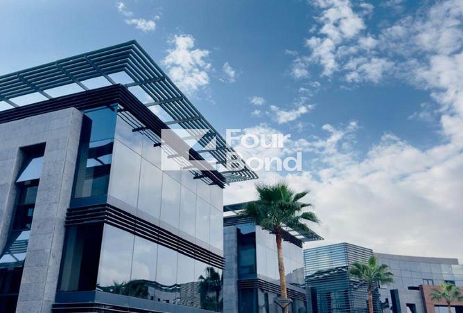 67731749 - Property Image 3