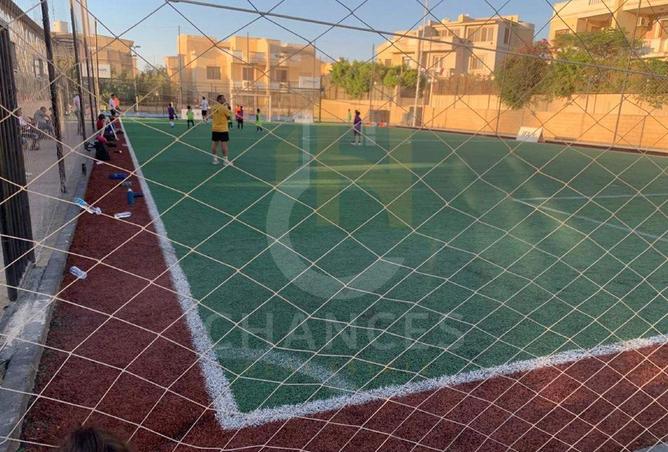 53719788 - صورة العقار 2