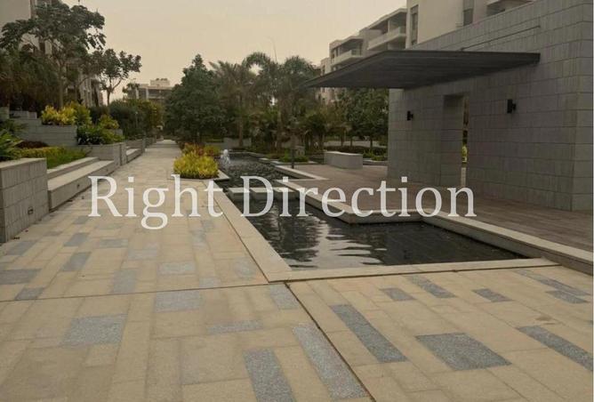 65662520 - Property Image 3