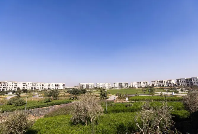 109926225 - Property Image 3