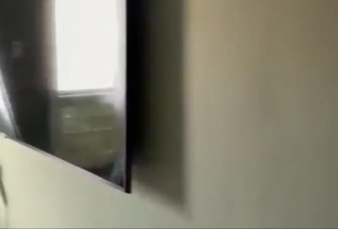 119848763 - صورة العقار 3
