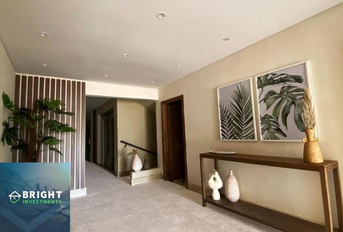 55259240 - Property Image 3