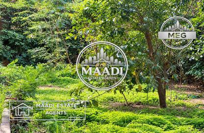 Apartment - 2 - 2 for rent in Street 212 - Degla - Hay El Maadi - Cairo Apartment - 2 - 2 for rent in Street 212 - Degla - Hay El Maadi - Cairo