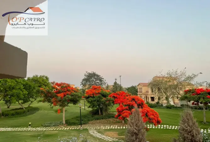 116222746 - صورة العقار 3