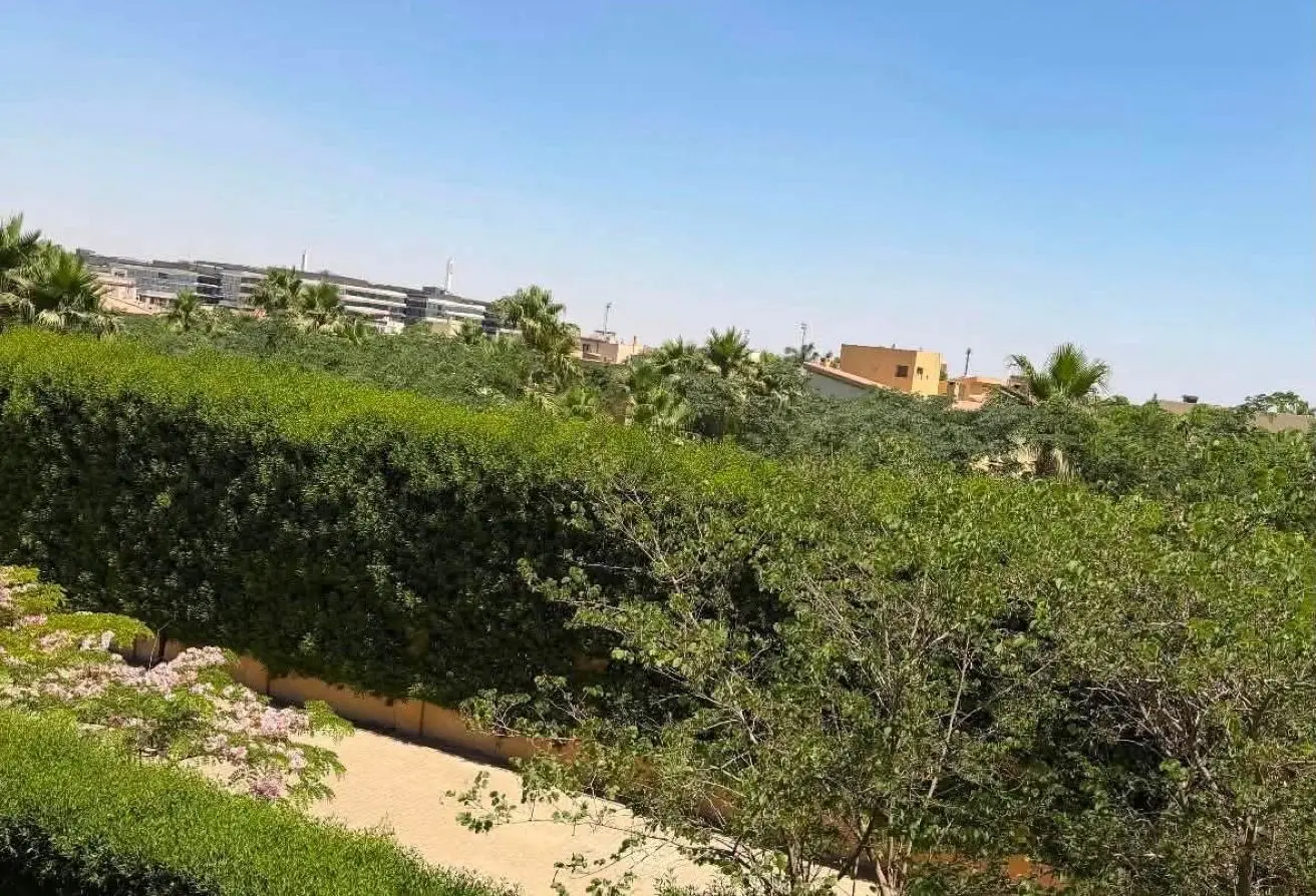 99802119 - Property Main Image