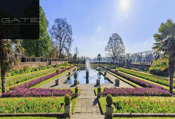 8610327 - صورة العقار 2