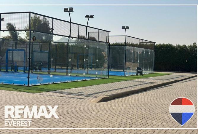 8652689 - Property Image 3