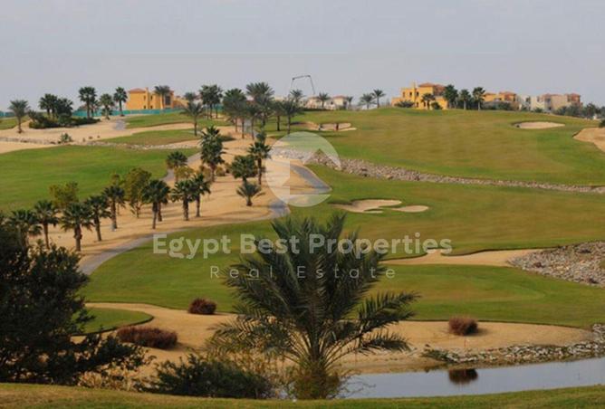 55005353 - صورة العقار 2