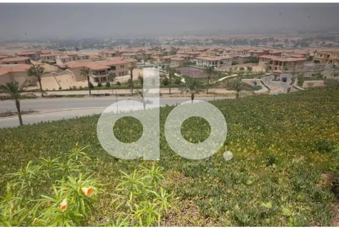 117542092 - صورة العقار 2