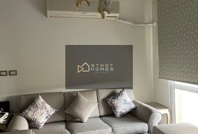 116750658 - Property Image 2