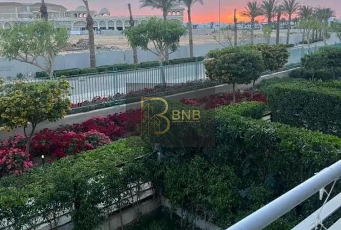 53223328 - صورة العقار 2