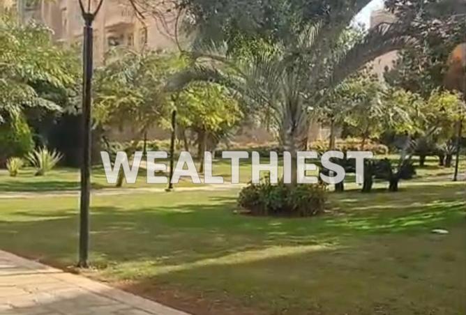 62410684 - Property Image 2