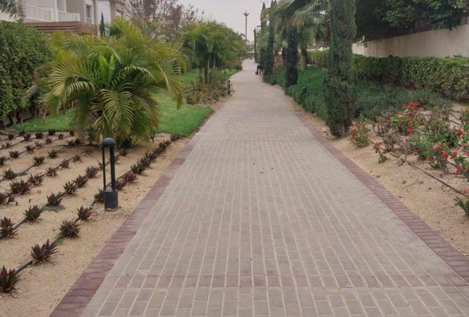 63386413 - Property Image 3