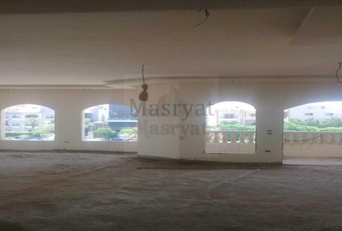 74040584 - Property Image 3