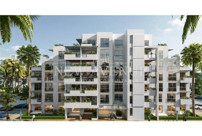 97436145 - Property Image 2