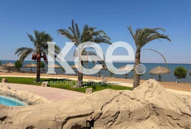 8701027 - صورة العقار 3