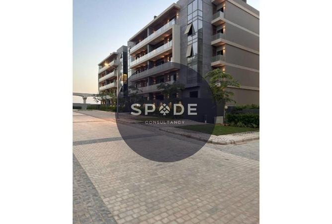 66702481 - صورة العقار 3