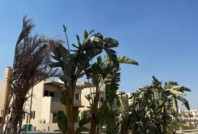 114892952 - صورة العقار 2