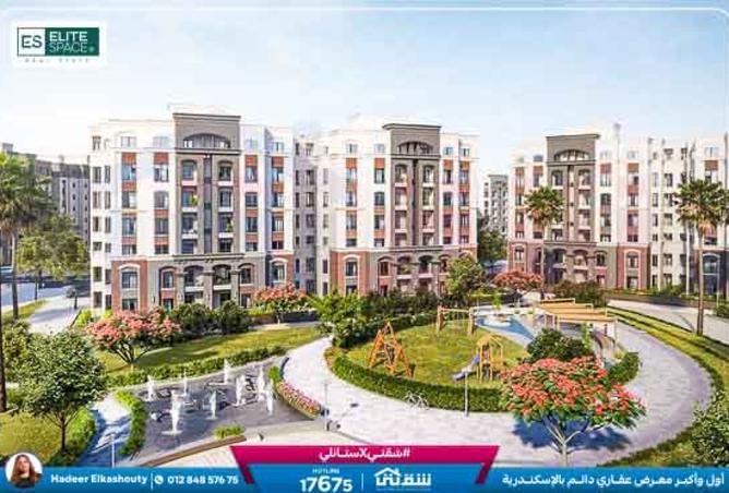 8486521 - Property Image 3