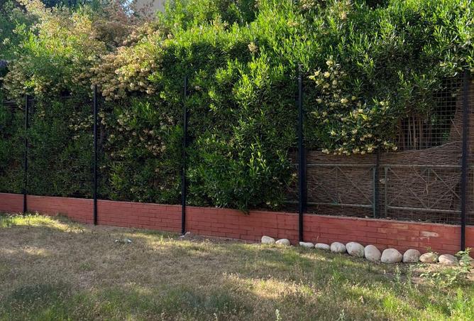 53728467 - صورة العقار 3