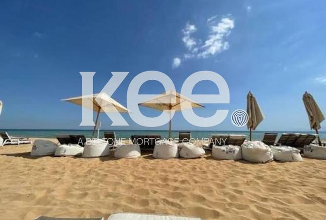 58256791 - صورة العقار 3