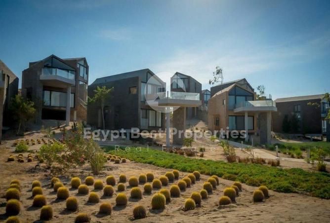 60228654 - صورة العقار 3