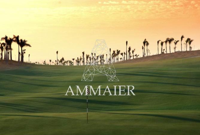 91561670 - صورة العقار 2