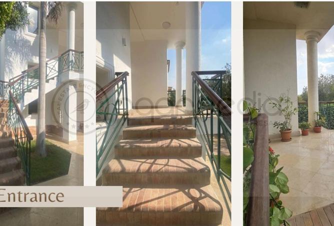 55501846 - Property Image 3