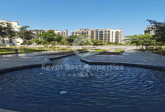 64136565 - صورة العقار 3