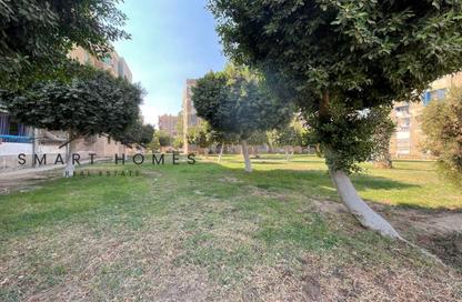 Apartment - 2 Bedrooms - 1 Bathroom for rent in 1st District - Sheikh Zayed City - Giza