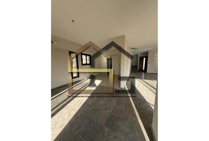 55509774 - Property Image 3