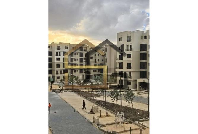 55509774 - Property Image 2