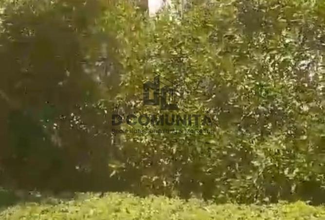 64903439 - صورة العقار 2