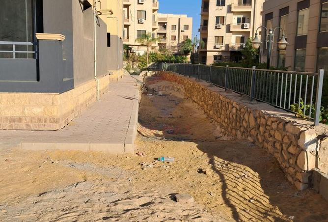 56993392 - Property Image 3