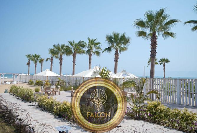 8412393 - صورة العقار 3