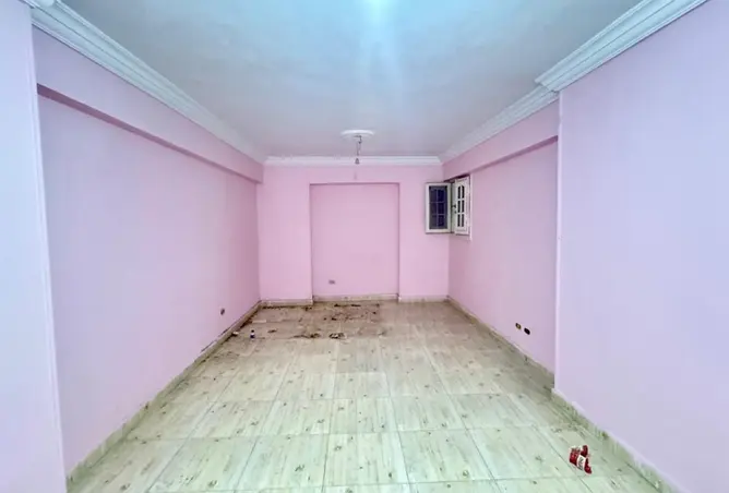 8676784 - Property Image 3