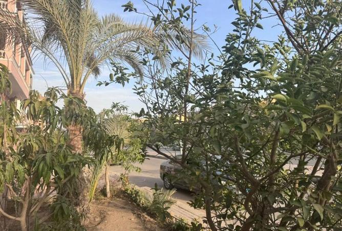 8652476 - صورة العقار 3