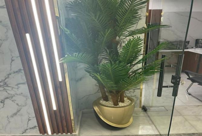 81315367 - صورة العقار 3
