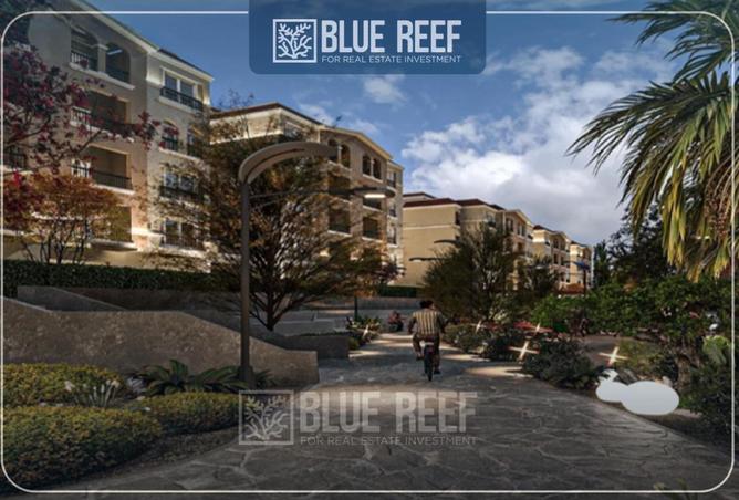 67729300 - صورة العقار 3