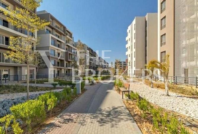 56498560 - صورة العقار 3