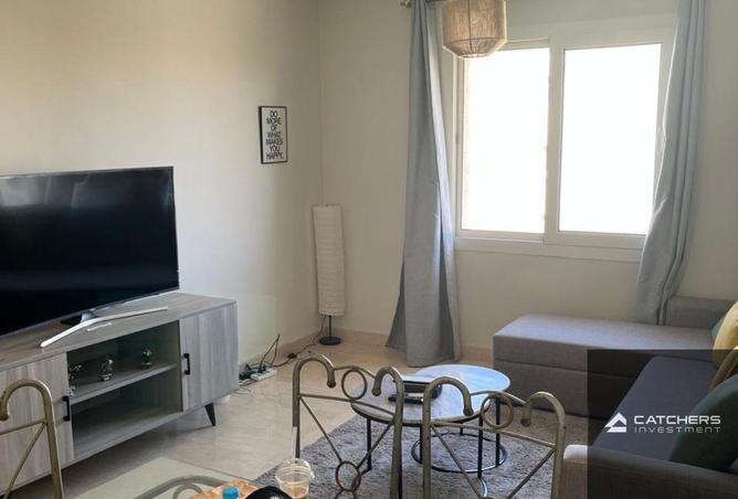 74594471 - Property Image 3