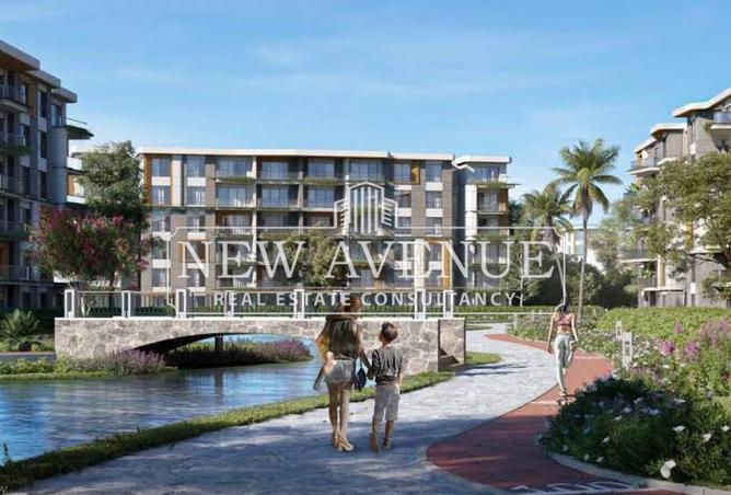 62650311 - Property Image 3