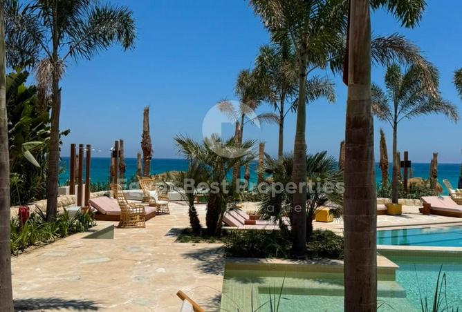 97721601 - Property Image 3